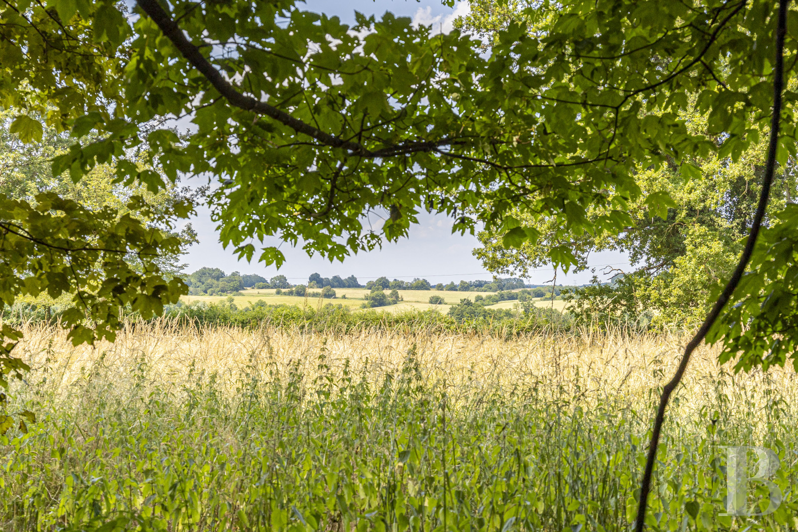 Au sud du Loiret, à Bonny-sur-Loire, un château d’inspiration Directoire entouré de bois - photo  n°32